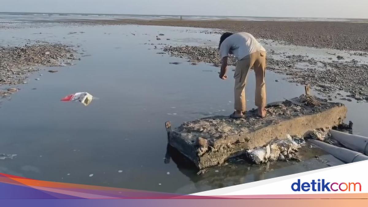 Limbah Tambak Udang di Sumbawa Dibuang ke Laut via Tiga Pipa, Pemprov NTB Siapkan Sanksi Berat