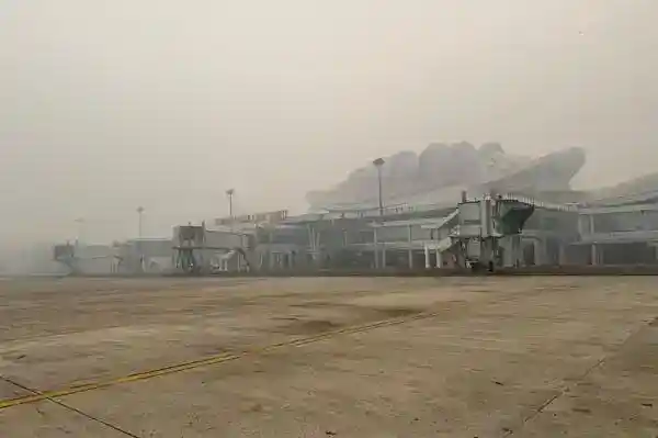Kabut Asap Karhutla Ganggu 2.775 Penerbangan Domestik, Dampaknya Meluas hingga NTT