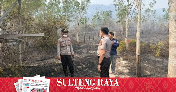 Kapolres Morowali Utara Buru Pelaku Pembakaran Lahan di Bunta dan Lomboroma, Selidiki Unsur Kesengajaan
