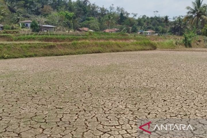 BMKG Peringatkan 12 Kabupaten dan Kota di Sulut Siaga Kekeringan Meteorologis hingga 31 Oktober 2026