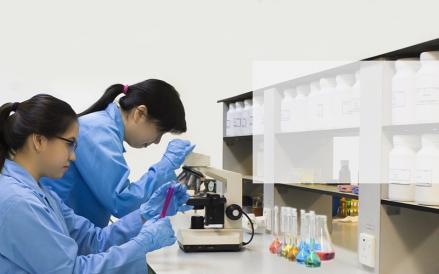 SOHO Lepas Seluruh Saham Pfizer Indonesia, Nilai Transaksi di Bawah 20% Ekuitas