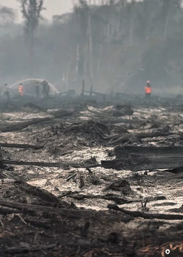Data Karhutla Jambi Selisih 20 Titik Hotspot, DPRD Minta Verifikasi Lapangan Sebelum Ambil Kebijakan
