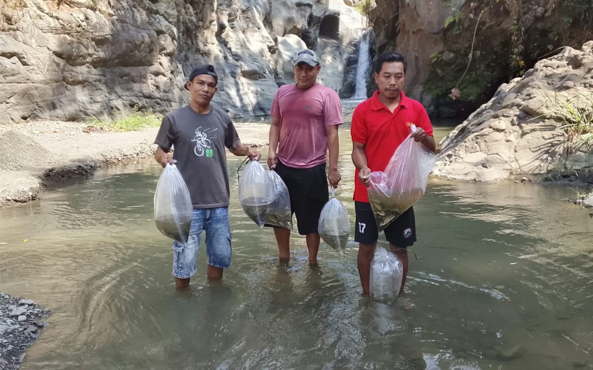 KPS Kumisik dan Pemdes Cawitali Tebar 3.500 Benih Ikan di Sungai Kumisik dan Arus Tegal, Total Kini 9.800 Ekor