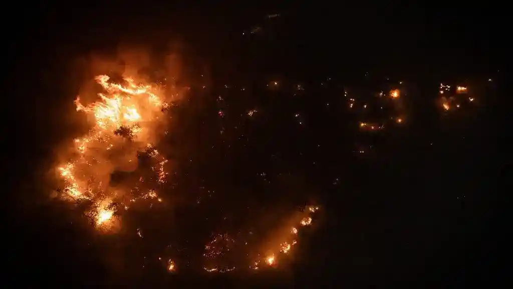 BNPB Sebut Karhutla Kalimantan Tengah Terluas di Indonesia, 16.097 Hektare Lahan Terbakar