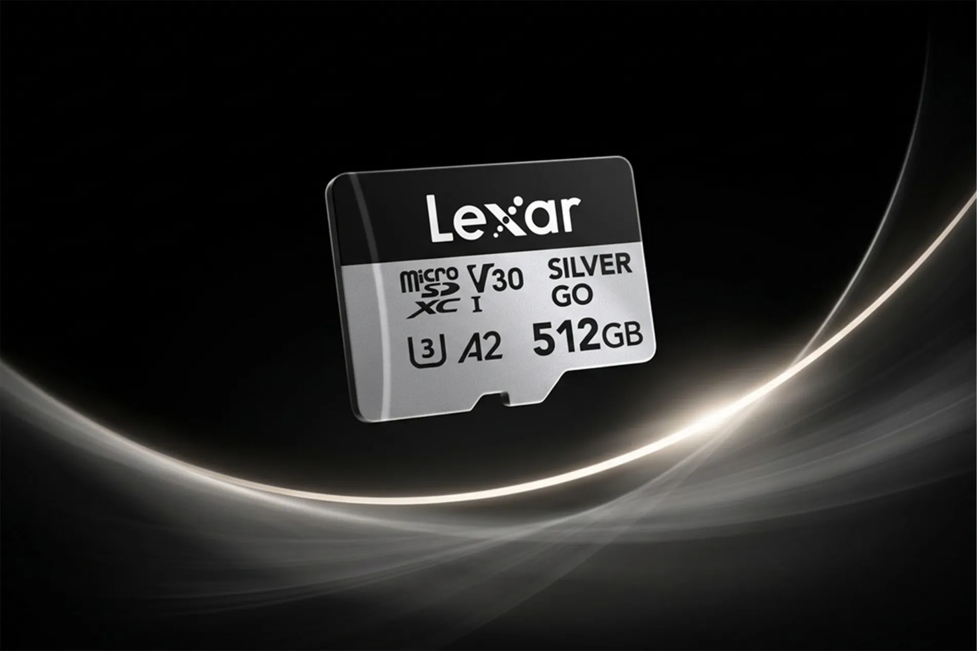 Lexar Professional SILVER GO Meluncur, microSD Baca 250 MB/s