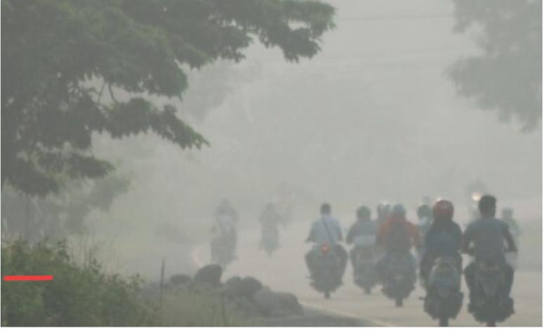 Kepala Dinas Kesehatan Bengkulu Imbau Warga Kurangi Aktivitas Luar Ruang saat Kabut Asap Pekat