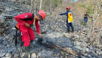 Kebakaran Karst Pangkep Ancam Situs Purba Sabila dan Lukisan Gua