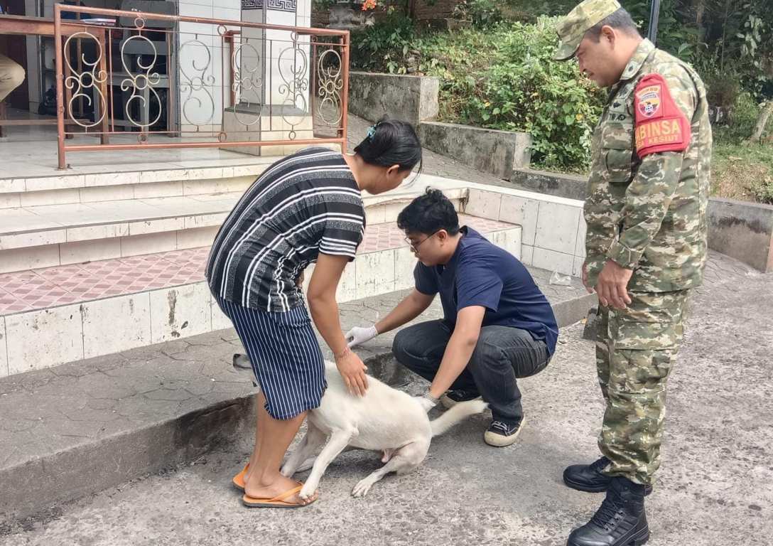 161 Anjing dan Kucing di Desa Kesiut Tabanan Divaksin Rabies Serentak di Lima Banjar