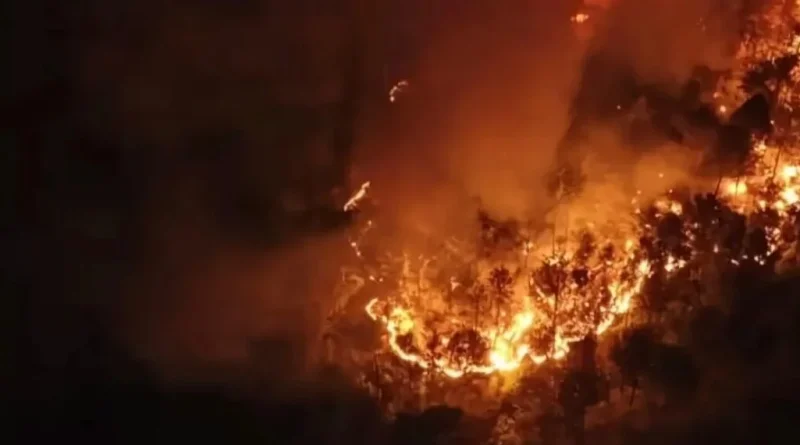 Karhutla Gunung Ciremai Masuk Hari Ketiga, 10 Titik Api Tersisa di Tiga Sektor Pemadaman