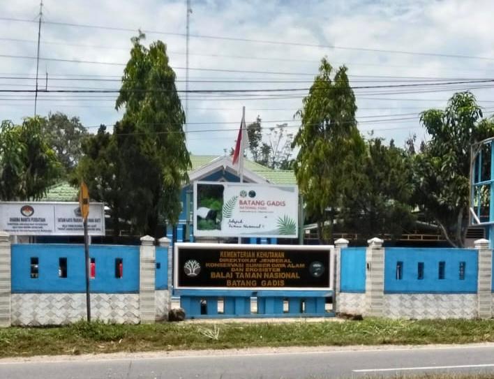Balai TNBG Kerahkan Tim Gabungan ke Aek Nabontar, 3 Excavator PETI Jadi Target Operasi