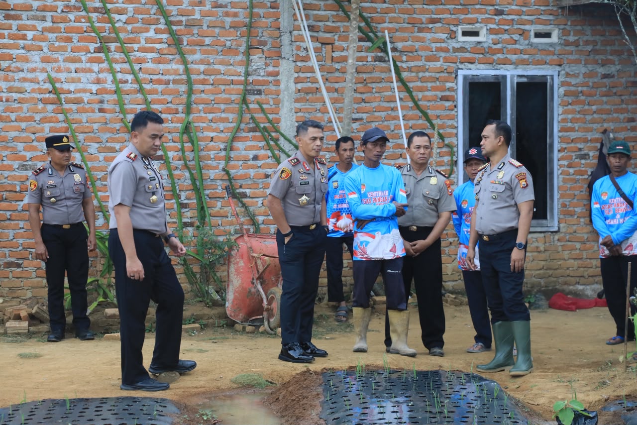 Kapolda Bengkulu Cek Demplot Bawang Putih Varietas Sangga Sembalun di Lebong, Dorong Swasembada Nasional