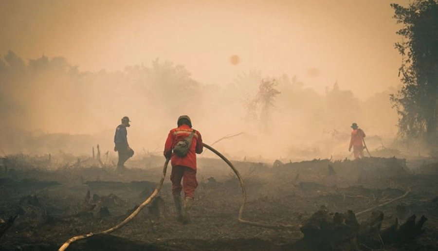 1.016 Titik Panas Karhutla Sumsel, 4 Daerah Masuk Kategori Udara Berbahaya