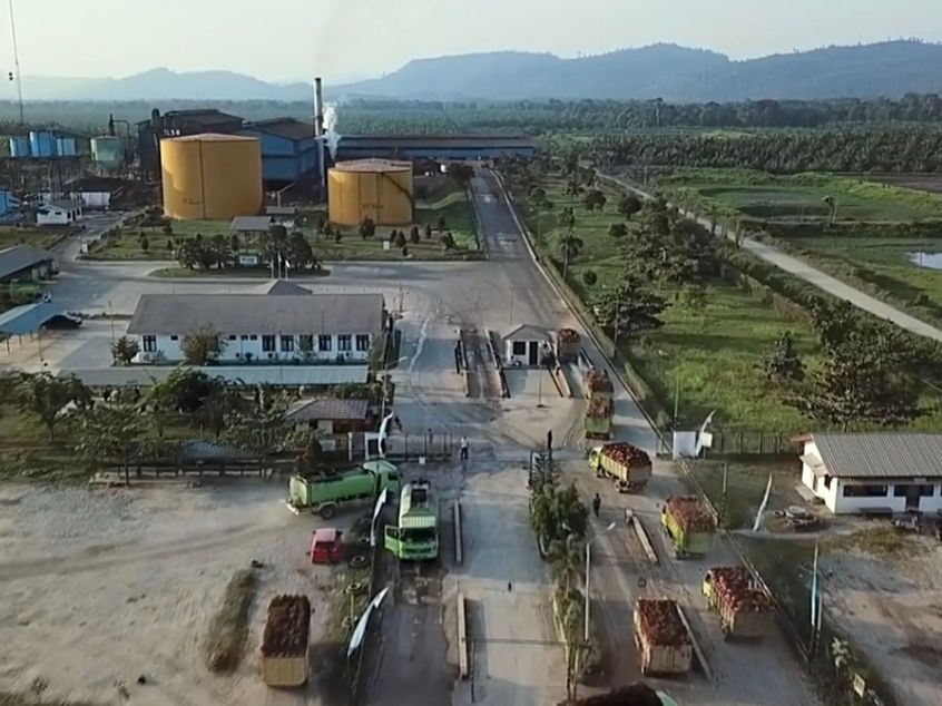 Pabrik Sawit PSGO di Kutai Timur Berkapasitas 90 Ton per Jam Masih Berhenti Usai Kebakaran, Kerugian Belum Diketahui