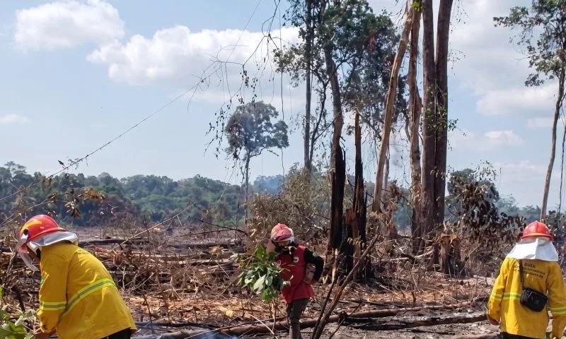 Karhutla Kaltim Tembus 2.342 Kejadian, 9.327 Hektare Lahan Terbakar hingga Oktober 2026