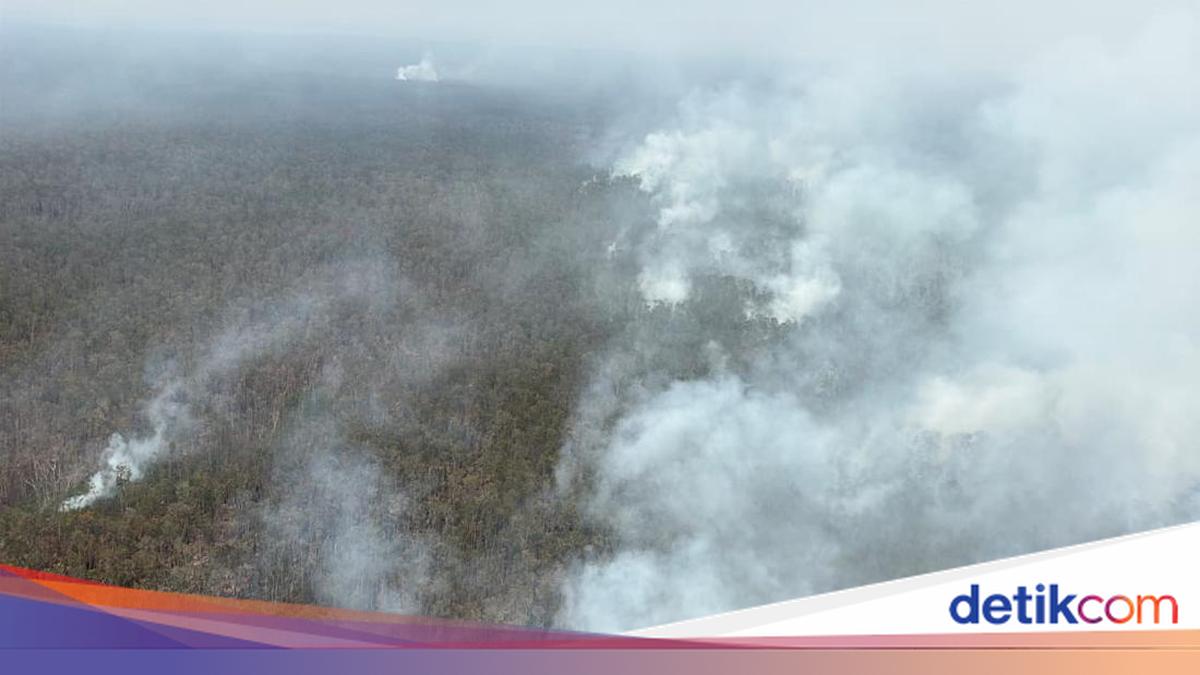 BNPB Kerahkan Helikopter Black Hawk Water Bombing Padamkan Karhutla Way Kambas, 40 Hektare Masih Terbakar