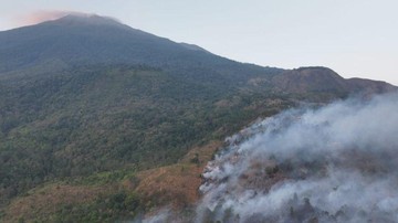 Petani Penyelamat Bayi Surili di Gunung Ciremai Dapat Kembalikan ke Induknya