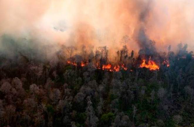 NASA Soroti Emisi Karhutla Papua Tembus 35 Megaton, Tertinggi Ketiga Setelah 2015 dan 1997
