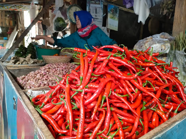 Harga Cabai di Natuna Masih Tinggi, Rawit Merah Rp110.000 dan Keriting Rp140.000 per Kilogram