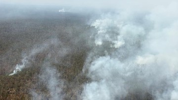 BNPB Kerahkan Helikopter Black Hawk Padamkan Karhutla Way Kambas, 40 Hektare Belum Padam