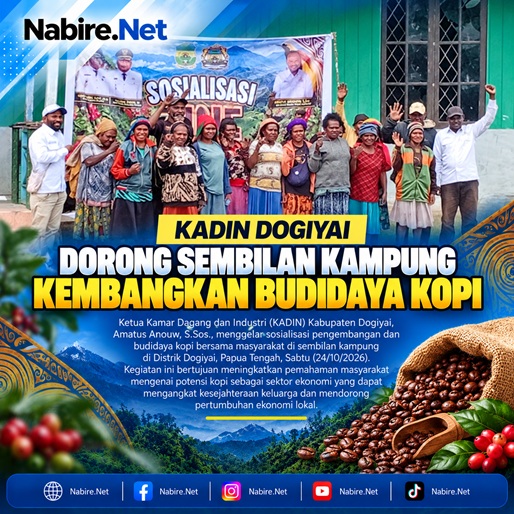 KADIN Dogiyai Dorong 9 Kampung di Distrik Dogiyai Kembangkan Budidaya Kopi