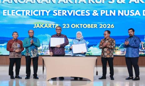 PLN Gabung PLN ES dan PLN Nusa Daya Jadi Subholding PLN Services