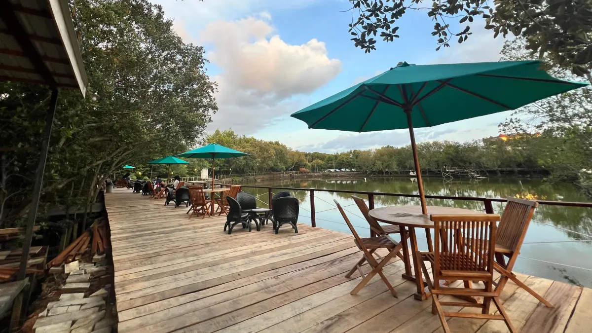 7 Wisata Mangrove di Balikpapan, dari Susur Sungai Somber hingga Vila di Tepi Bakau