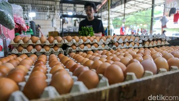 Mentan Ungkap Anomali Harga Telur: Pasokan Melimpah, Harga di Konsumen Justru Naik
