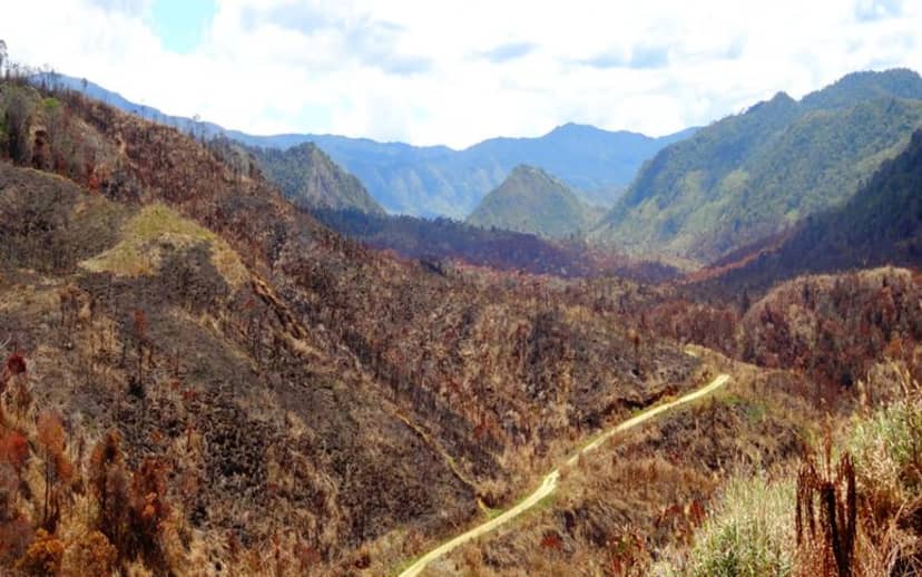 Hampir 5 Juta Warga Papua Nugini Terdampak Kekeringan El Nino, Kebakaran Hutan Mulai Meluas