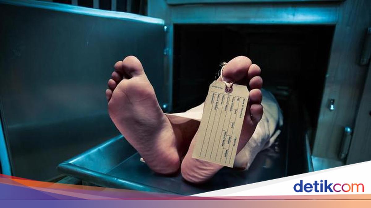 Warga Tebo Ulu Tewas Saat Padamkan Api di Kebun Sendiri, Lahan 1 Hektare Ikut Terbakar