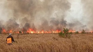 Kebakaran di Perbatasan Taman Nasional Way Kambas Lampung, Warga Ikut Padamkan Api