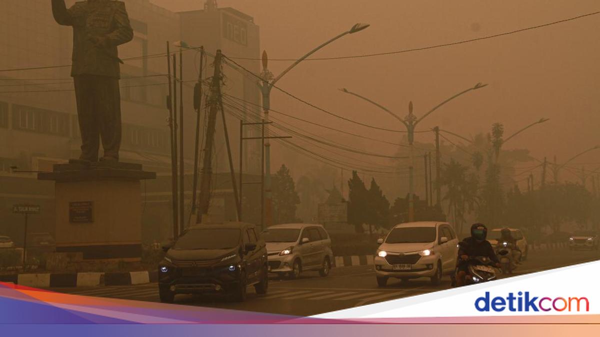 Polsek Pahandut Ringkus Pria Asal Banjarmasin, Galang Dana Karhutla Palsu Rp 8 Juta di Palangka Raya