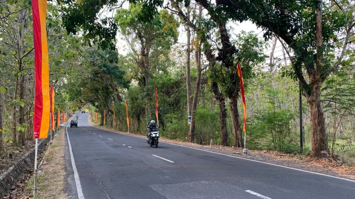 Musim Hujan di Gunungkidul: Pemangkasan Pohon Rawan Tumbang Terkendala Alat dan Tenaga Teknis