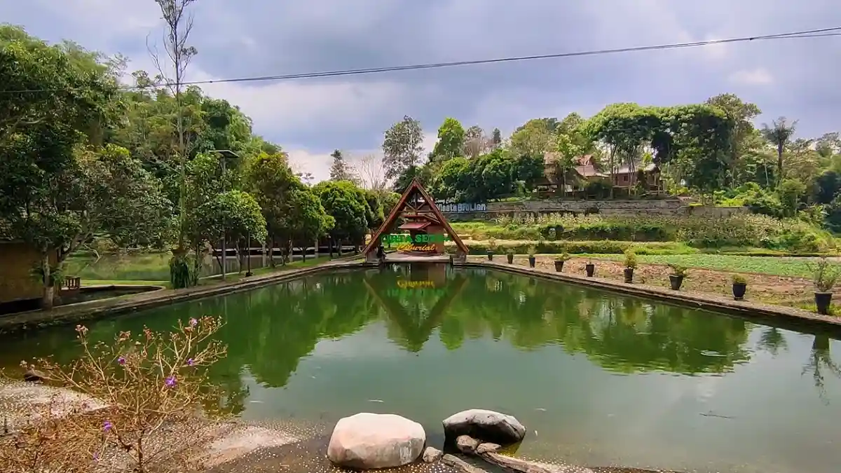 Desa Wisata Saung Ciburial Garut, Edukasi Tani hingga River Tubing