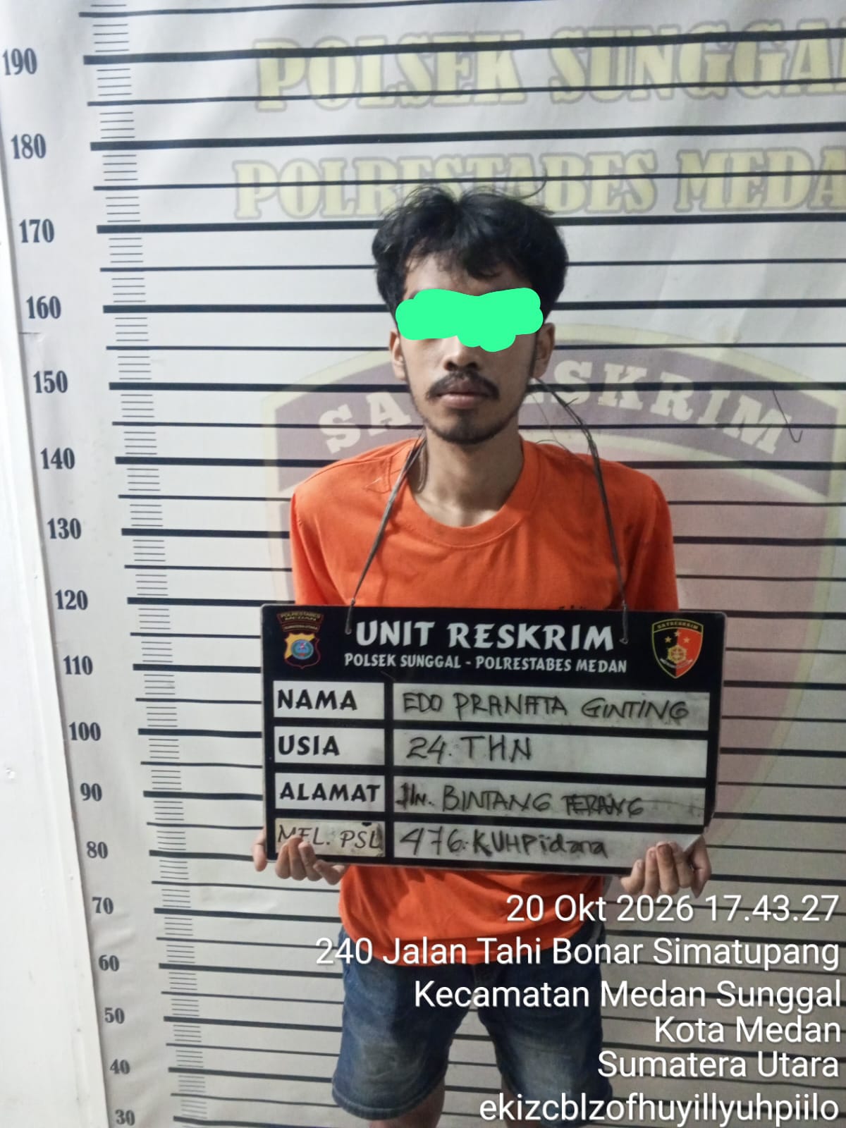 Polsek Medan Sunggal Tangkap Pencuri Sawit PTPN IV di Sunggal, 16 TBS Jadi Barang Bukti