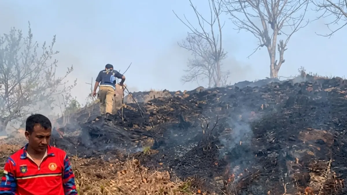 Kebakaran Lahan Bukit Mandalika Lombok Tengah Padam, 7 Personel Damkartan Merayap di Medan Terjal