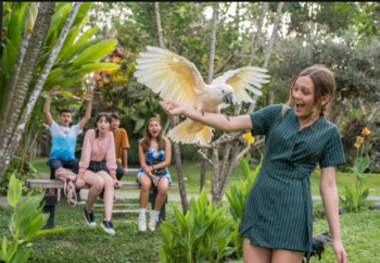 Bali Bird Park Diskon Tiket 31 Persen untuk HUT ke-31, Berlaku 26-31 Oktober 2026