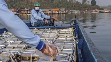 Dua Tahun MBG: 190 Dapur Jadi 18.614 UMKM Pemasok, Anggaran Rp71 Triliun