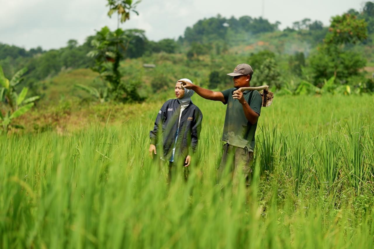 BRI Salurkan KUR Rp144,59 Triliun ke 2,76 Juta Debitur, Sektor Pertanian Kuasai 42,79 Persen
