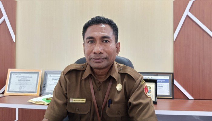 Pemkab Sikka Anggarkan Rp1,6 Miliar Bangun 8 Paket Ruang Kelas Darurat, Target Rampung 15 Desember 2026