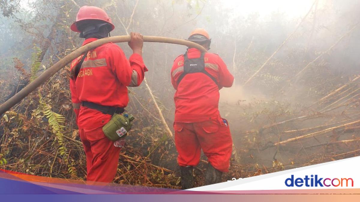 Manggala Agni Kirim 1 Regu Tambahan dari Lahat untuk Padamkan Karhutla di OKI