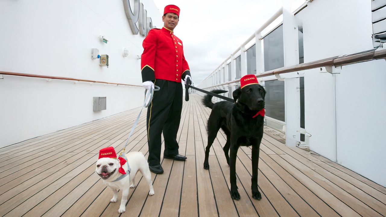 Queen Mary 2, Satu-satunya Kapal Pesiar dengan Kennel untuk 24 Anjing dan Kucing