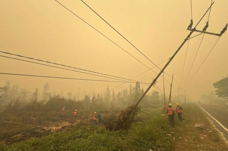 Karhutla Katingan Ancam Jaringan Listrik, PLN Amankan Dua Tiang di Bukit Batu