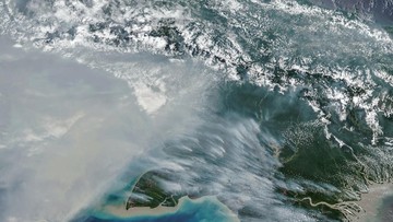 BNPB Catat 2.393 Hektare Lahan Terbakar di Papua, 73 Titik Panas Masih Aktif