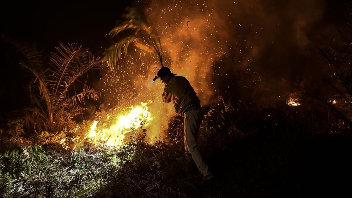 Menhut Raja Juli Sebut Banpres Karhutla Jambi Capai Rp125 Miliar, Minta Pemda Transparan
