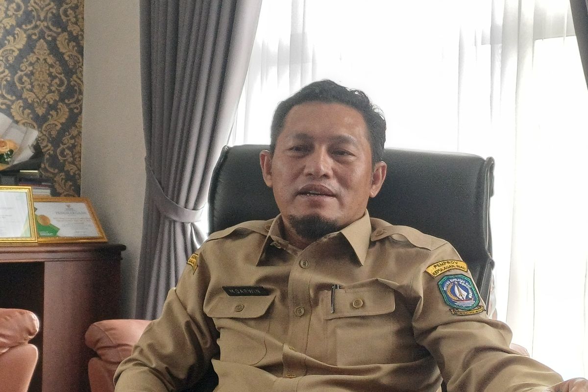 Kepala ESDM Kepri: Listrik Pulau Bintan Tak Boleh Bergantung pada Satu Sumber Usai Blackout 12 Oktober 2026