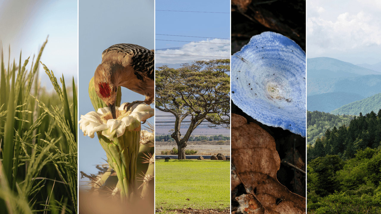 Berburu, Memancing, dan Foraging di AS: 6 Destinasi Wisata Kuliner Liar