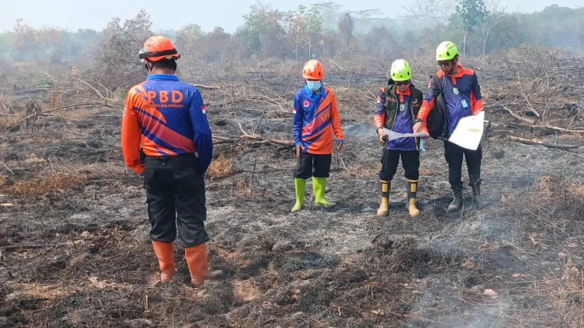 WALHI Kalsel Sebut Karhutla Bukan Cuma Efek El Nino, 3.938 Hektare Gambut Rusak Hidrologis