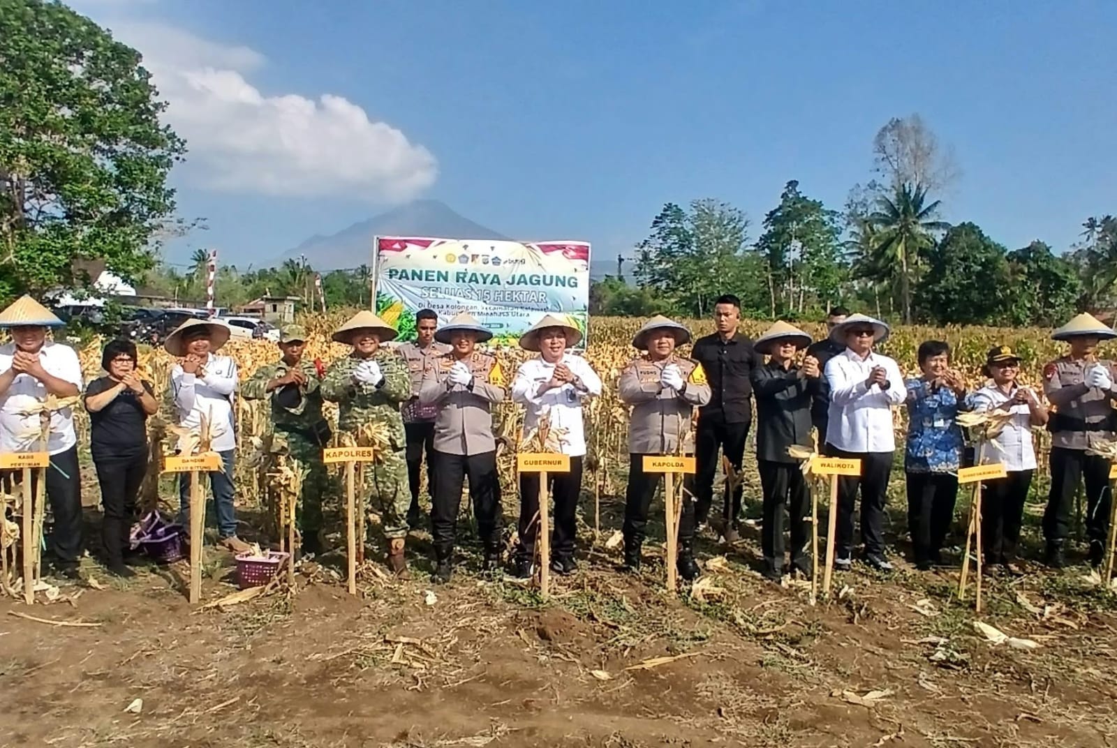 Kapolda Sulut Apresiasi Panen Raya Jagung Yellow Corn di Minahasa Utara, 15 Hektare Lahan Tetap Produktif Saat Kemarau