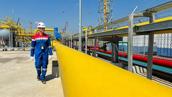 PGN Kantongi 4 Kontrak Gas, Masela Capai US$ 7,34 Miliar