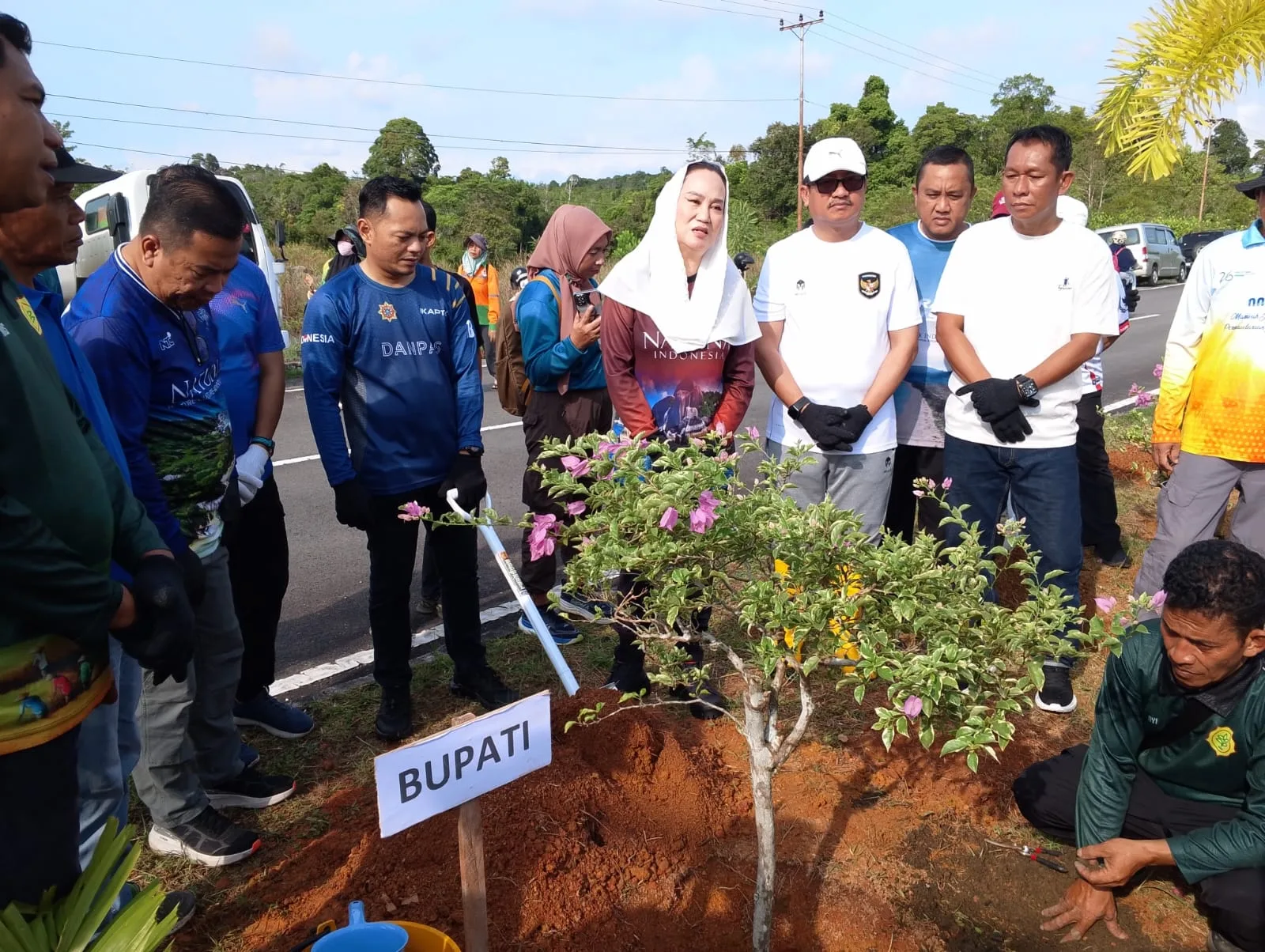 Pemkab Natuna Tanam 200 Batang Bunga Kertas di Jalan Protokol Ranai Jelang POPDA dan MTQ 2028